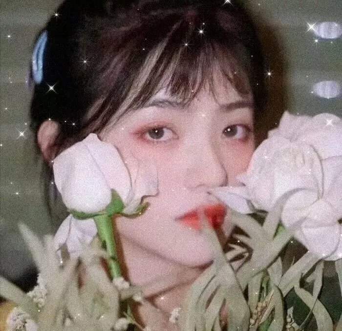 西鹤一代女